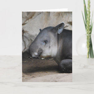 Carte de note de tapir