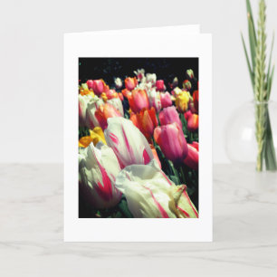 Carte de note de tulipes de tentation