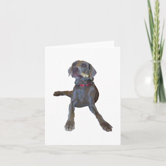Carte de note de Weimaraner (Devant)