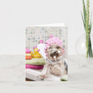 Carte de note de Yorkie