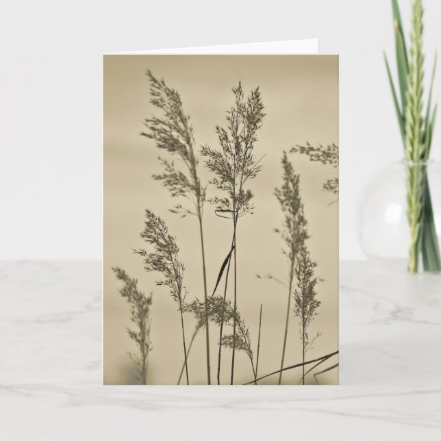 Carte de note d'herbes (Devant)