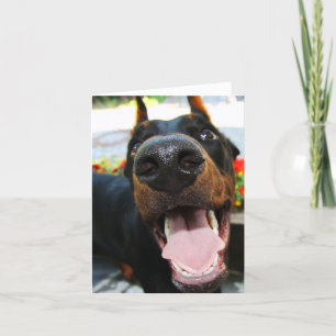 Carte de note Doberman