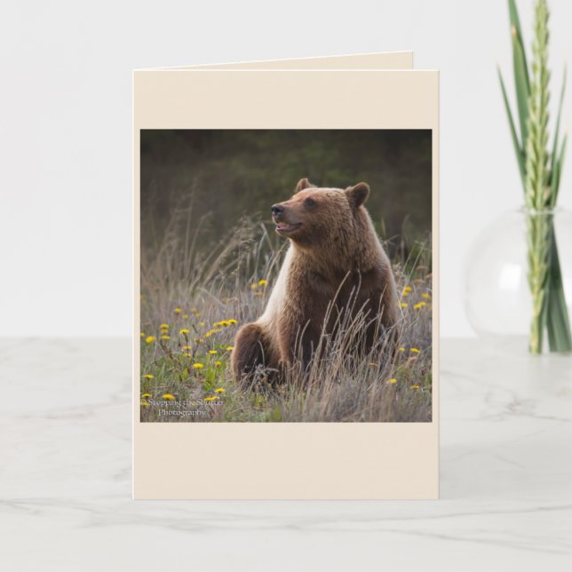 Carte de note d'ours - blanc (Devant)