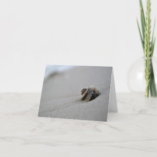 Carte de note en spirale de plage de coquillage