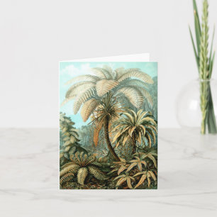 Carte de note Ernst Haeckel's Filicinae (Tree Fern