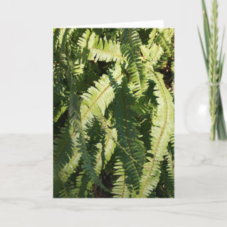 Carte de note "Fern motifs"
