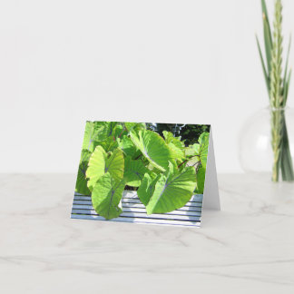 Carte de note Feuille botanique