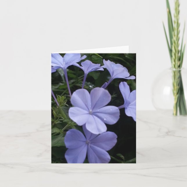 Carte de note Fleurs violettes (Devant)