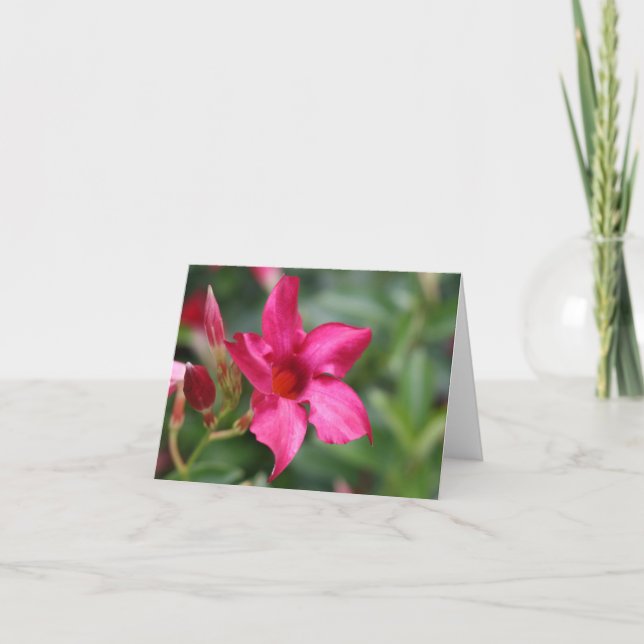 Carte de note florale de fleur rose (Devant)
