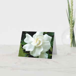 Carte de note Gardenia