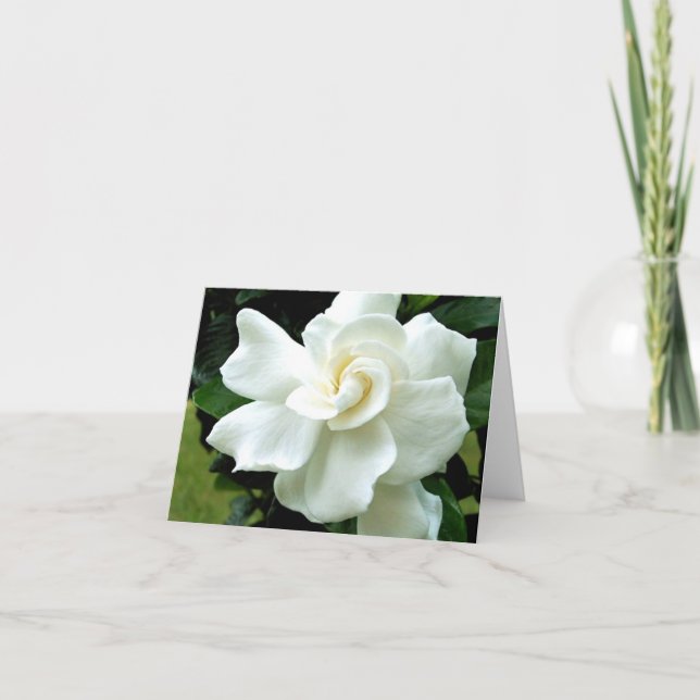 Carte de note Gardenia (Devant)