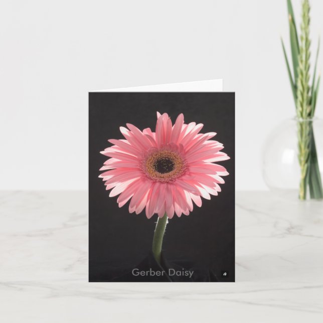 Carte de note Gerber Daisy (Devant)