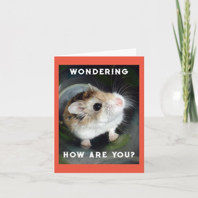 Carte de note Hamster Wondering (Devant)