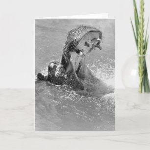 Carte de note Hippo Feed Me