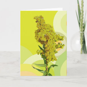 Carte de note IBSP Beach Solidago (Goldenrod)