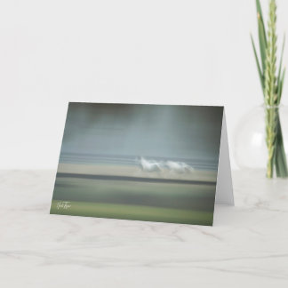 Carte de note Illusions équines