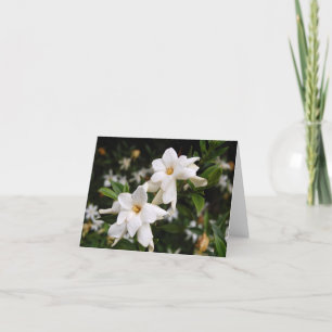 Carte de note Jasmine
