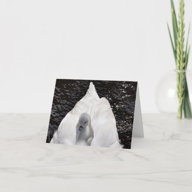 Carte de note : Jeune cygne sur le dos du cygne (Devant)