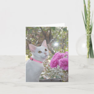 Carte de note jolie Kitten