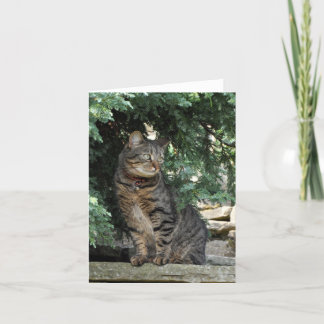 Carte de note : Minnie