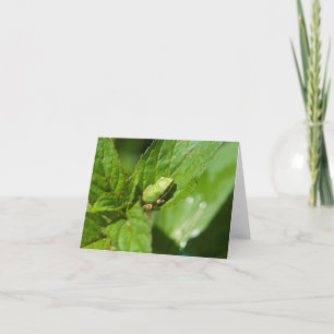 Carte de note minuscule de grenouille (brillante)