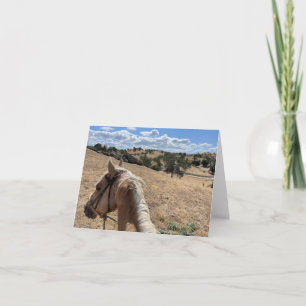 Carte de note, Palomino Horse et Ciel bleu