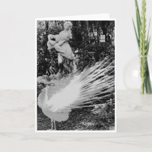 Carte de note Peacock Blanc<Blank Inside>