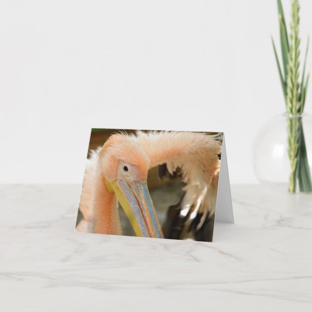 Carte de note Pelican (Devant)