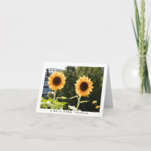 Carte de note personnalisée Fleurs de soleil jaune