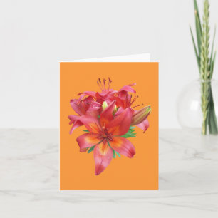 Carte de note Pink Daylily Photo Follot