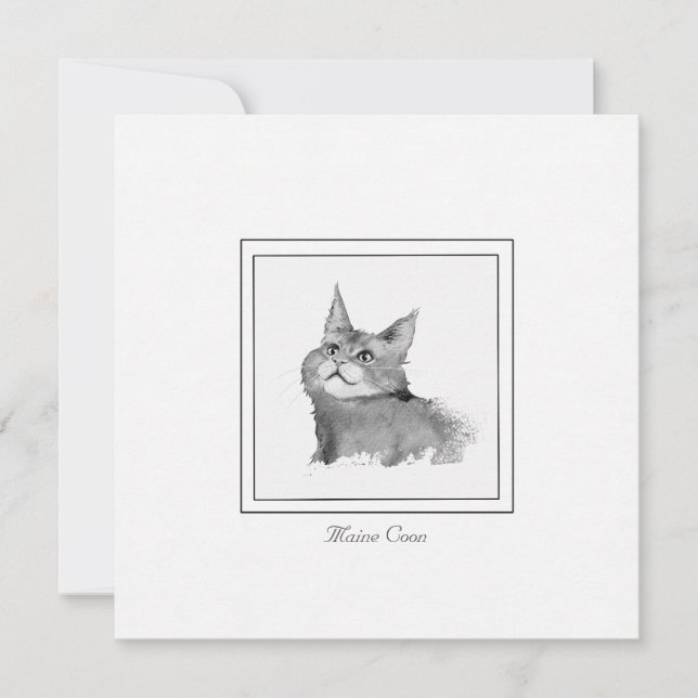 Carte de note plat du chat de coton du Maine (Devant)