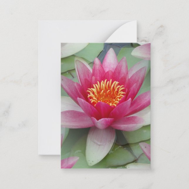 Carte de note plat Pink Lotus Water Lily (Devant)