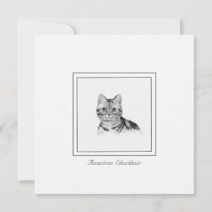 Carte de note plate de dessin de chat court améric