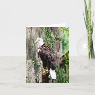 Carte de note pliée avec photo d'aigle à tête blan