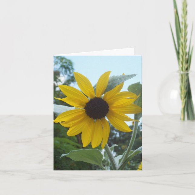 Carte de note pliée photo de tournesol mexicain (Devant)