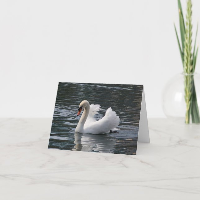 Carte de note pliée photo du cygne muet (Devant)