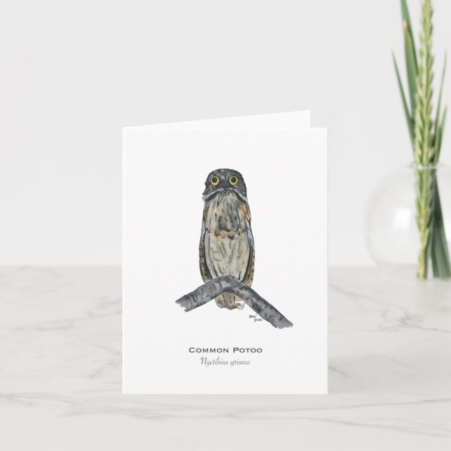 Carte de note pliée Potoo Bird (Devant)
