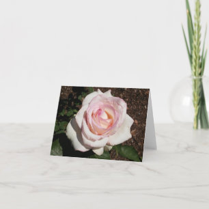 Carte de note pliée rose