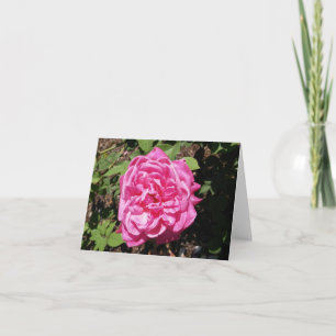 Carte de note pliée rose
