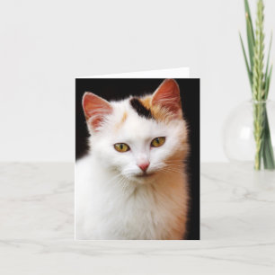 Carte de note pour chaton blanc