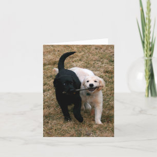 Carte de note pour chiots noirs et blancs
