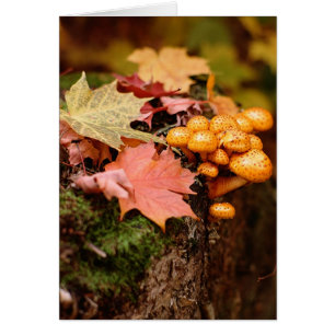 Carte de note pour les champignons orange d'automn