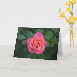 Carte de note Rose Dainty