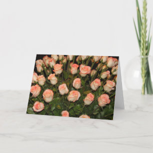 Carte de note rose roses