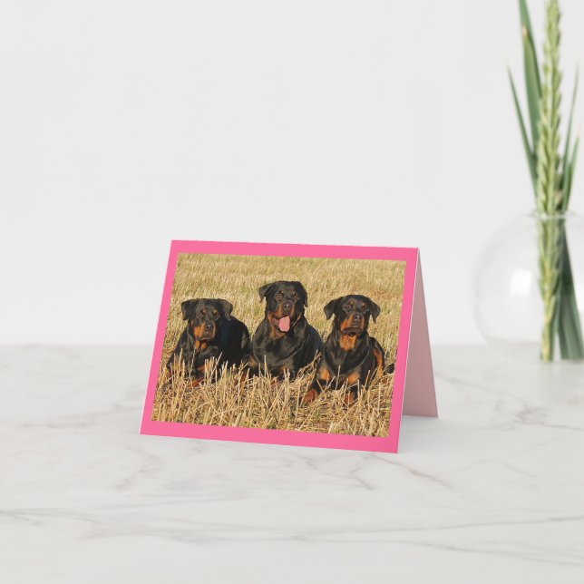 Carte de note rouge rose Chien rose Rottweiler (Devant)