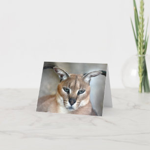 Carte de note sauvage de chat de Caracal