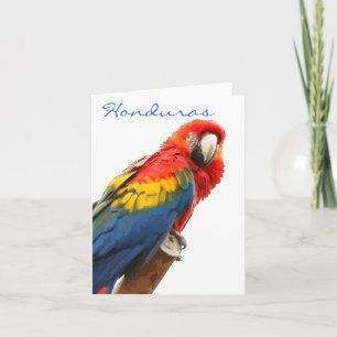 Carte de note Scarlet Macaw Honduras