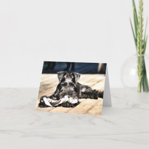 Carte de note Schnauzer Miniture #2 - vide