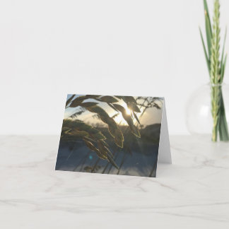 Carte de note Sea Oats