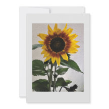 Carte de note simple Sunflowers pour manuscrit